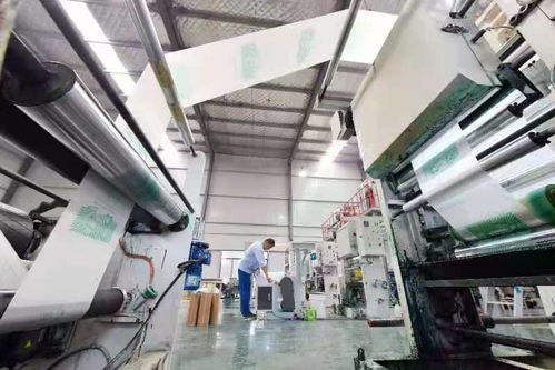 為治理白色污染提供 蚌埠方案 記第二屆中國生物基材料產(chǎn)業(yè)發(fā)展大會(huì)